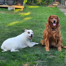 Lucy and Geno