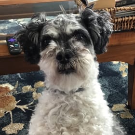 Baxter