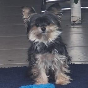 Oliver