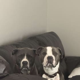 Storm and Diesel