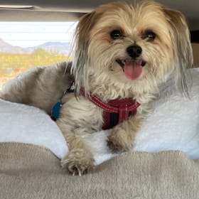Ollie