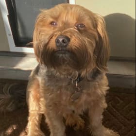 Milo