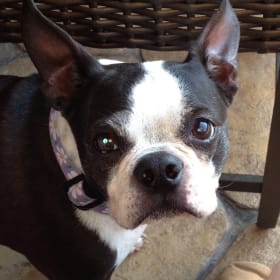 DaisyMae
