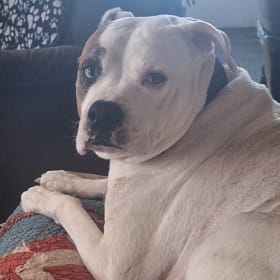 Lucy