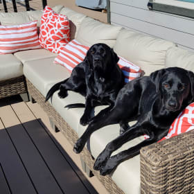 Oakley and Yrsa