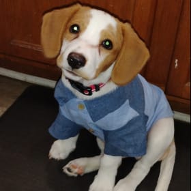 Tucker