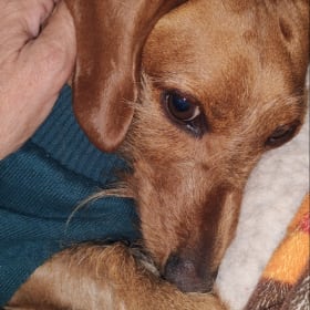 Oscar Meyer