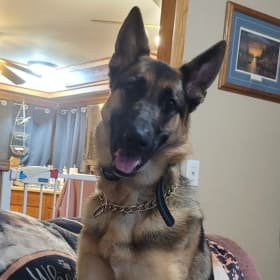 Timber