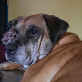 Rusty