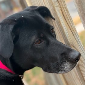 Ellie
