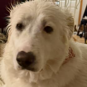 Yuki