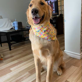 Cooper