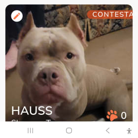 HAUSS