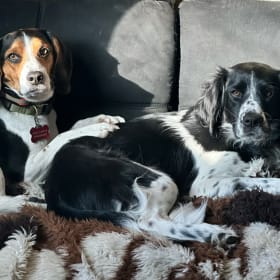 Floyd and Dutchess