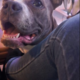 Loki