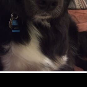 Jake