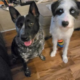 Karma and Kaos