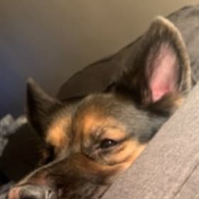 Odin