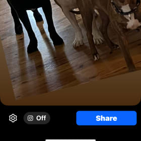 Basil Finn and Addie