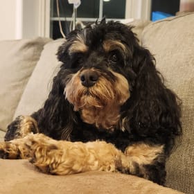 Bailey