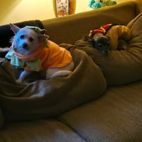 Ginger and Khloe