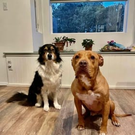 Cali and Buddy