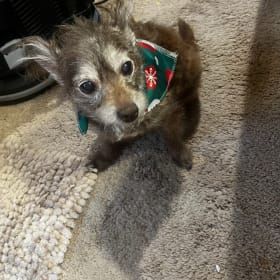 Minnie