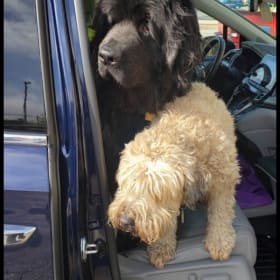 Yeti-bear and Maddie Magoo