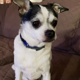 Diego