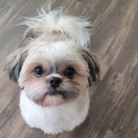 Carlos