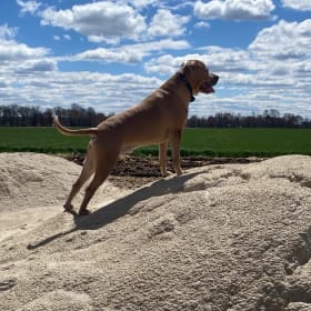 Milo