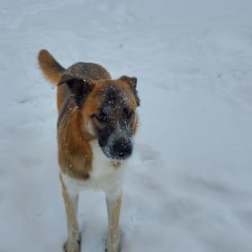 Winnie