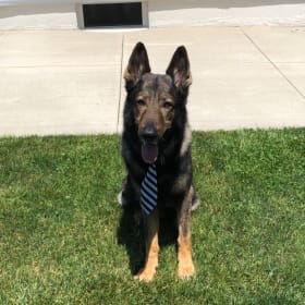 Gus