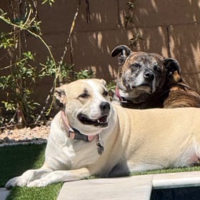Enzo and Mili