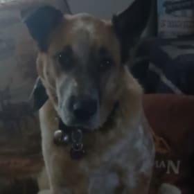 Annie