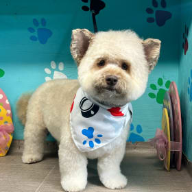 Toby