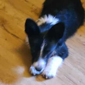 Roscoe