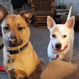 Jake and Gypsy Rose