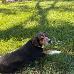 Seamus