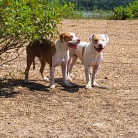 Brothers dumped need help
