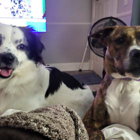 Poppy and Grady