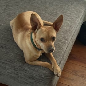 Sergei