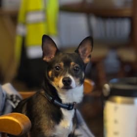 Roscoe