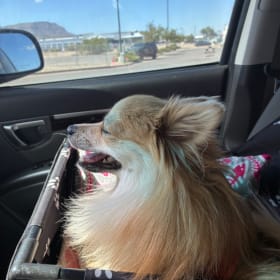 Sammy