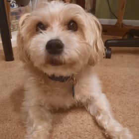 Paco