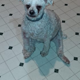 Archie