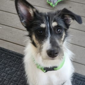 Finley