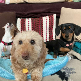 Annie-Baylee-Ember