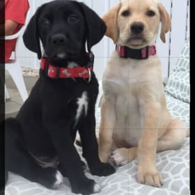 Lucy and Max