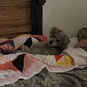 Peanut